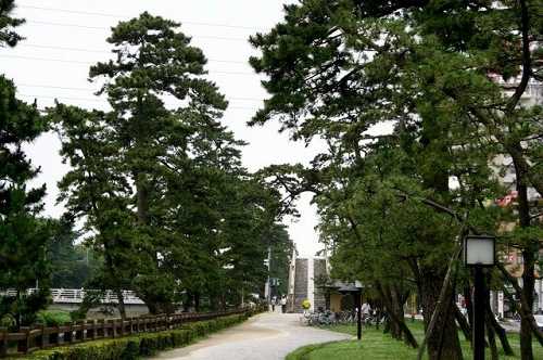 遊歩道 草加