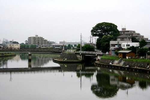 ・ ・ 遠景 草加松原
