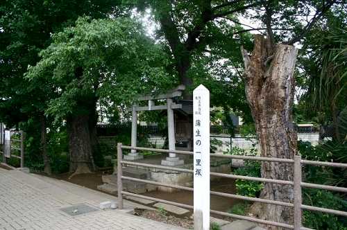 蒲生一里塚（埼玉県指定史跡） 蒲生 越谷