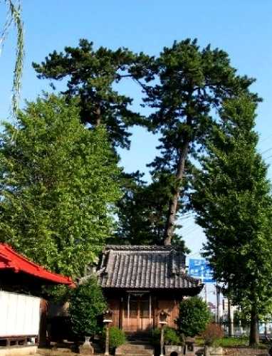 大枝香取神社 武里