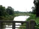 上船渡橋-中川 権現堂 幸手