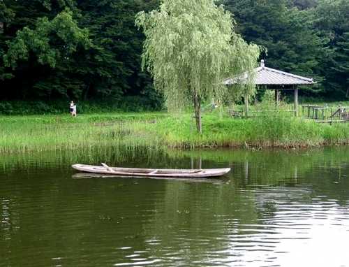 古河総合公園