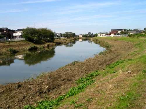 大落古利根川 万願寺橋 高野 杉戸町