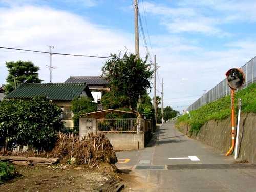 幸手雷電神社から栗橋一里塚へ 国道４号下 幸手