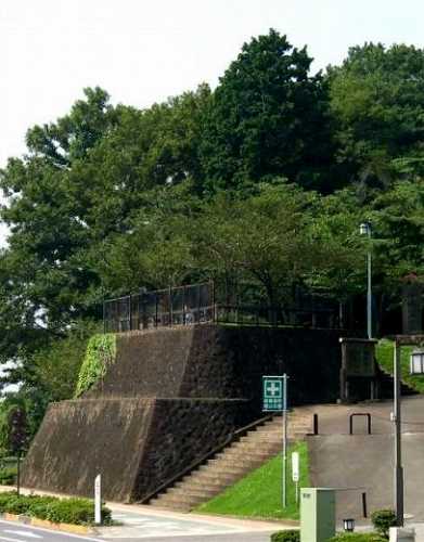 祇園城跡 小山