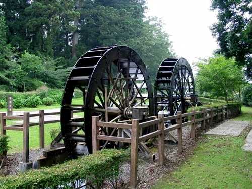 杉並木公園 今市