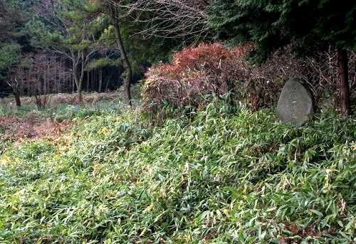 芭蕉一宿之跡 玉生 塩谷町