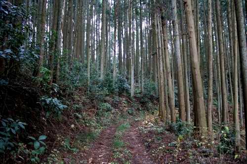 倉掛峠古道 倉掛 矢板市