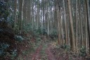 倉掛峠古道 倉掛 矢板市