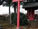 稲荷神社・芭蕉句碑 扇町 矢板市