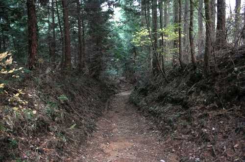 日光北街道旧道 長峰公園東方 針生 矢板市