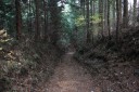 日光北街道旧道 長峰公園東方 針生 矢板市