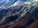 牛ヶ首 那須 那須郡 栃木県
