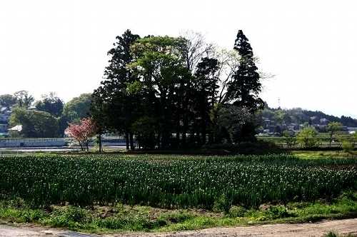 田村町大善寺 郡山市
