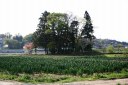 田村町大善寺 郡山市