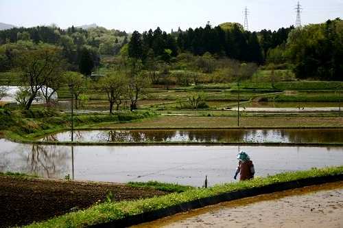 外ノ内 塩田川 塩田 須賀川市