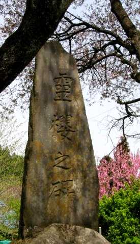 庄司戻しの櫻 表郷（おもてごう）村 西白河郡