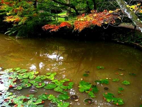 放生池 信夫の里 福島市