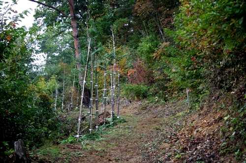 三峯神社より虎が墓への道 山口 福島市