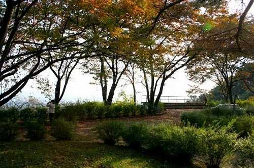 展望台 館ノ山公園 飯坂町 福島市