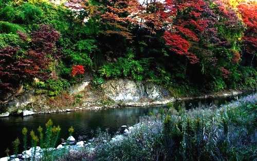 摺上（すりかみ）川 飯坂温泉 福島市