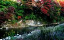 摺上（すりかみ）川 飯坂温泉 福島市