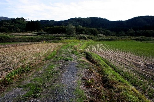 富澤 最上町 最上郡 山形県