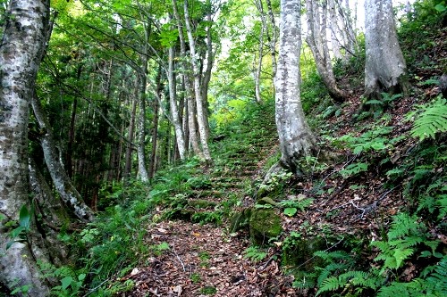 山刀伐峠古道 満澤 最上町 最上郡 山形県