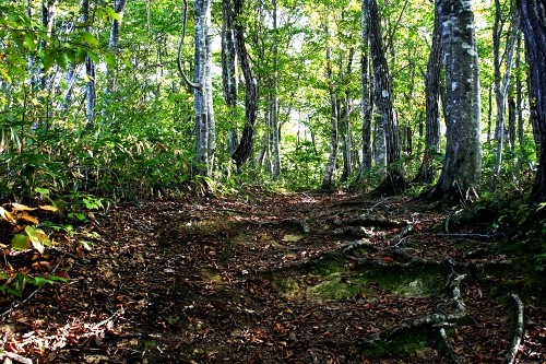 山刀伐峠古道 満澤 最上町 最上郡 山形県