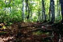 山刀伐峠古道 満澤 最上町 最上郡 山形県