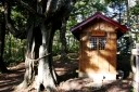 子宝地蔵、子持ち杉（山刀伐峠） 尾花沢市/最上町 山形県