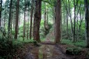 月山旧登山道（吹越神社から荒澤寺へ） 羽黒山 羽黒町手向 鶴岡市 山形県