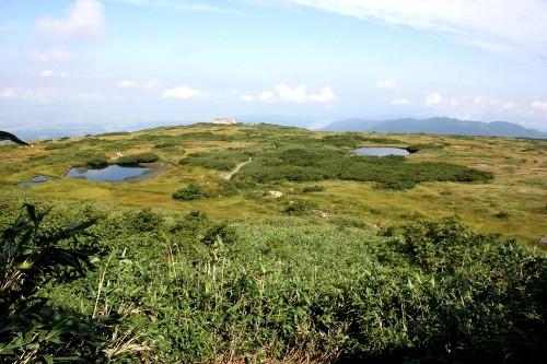 弥陀ヶ原 月山 庄内町 東田川郡 山形県