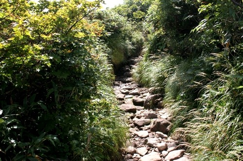 ８～９合目 月山 庄内町 東田川郡 山形県