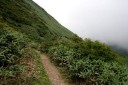 金婆～清め川 六十里山 田麦俣 鶴岡市 山形県
