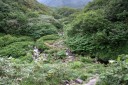 石跳川源流（清め川） 六十里山 田麦俣 鶴岡市 山形県