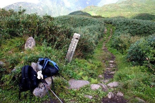 装束場 六十里山 田麦俣 鶴岡市 山形県