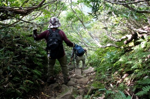 月光坂 六十里山 田麦俣 鶴岡市 山形県