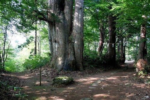 奥の細道・月山旧登山道 羽黒山 羽黒町手向 鶴岡市 山形県