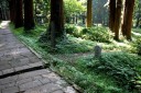 本坊若王寺宝前院跡 羽黒山 羽黒町手向 鶴岡市 山形県