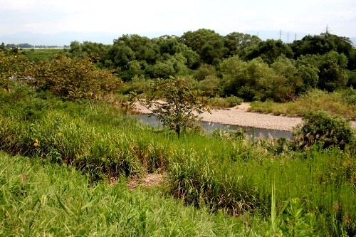 内川（赤川合流点手前付近）道形 鶴岡市 山形県