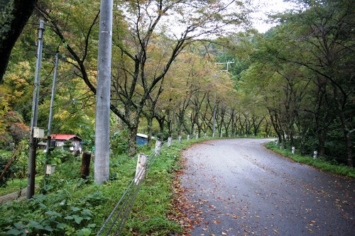 旧道（旧国道７号）上大鳥 村上市 新潟県