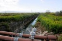 堀川・塩津潟跡 高橋 胎内市 新潟県