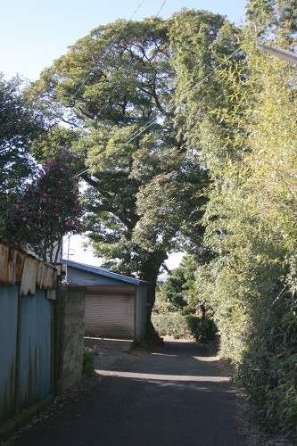 藤崎古道 藤崎１丁目 習志野市 千葉県