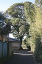 藤崎古道 藤崎１丁目 習志野市 千葉県