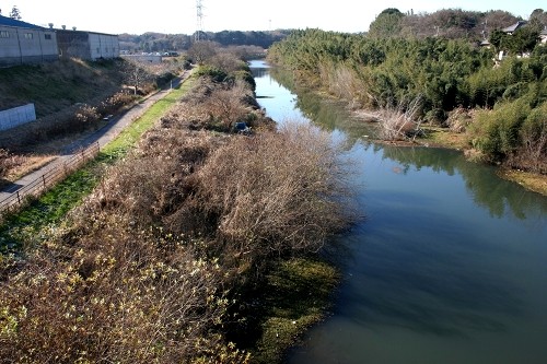 花見川 天戸町/犢橋町 花見川区 千葉市 千葉県