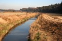 鹿島川 中田町/富田町 若葉区 千葉市 千葉県