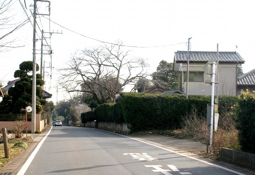 椎の古木（一里塚跡）付近 富田町 若葉区 千葉市 千葉県
