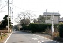 椎の古木（一里塚跡）付近 富田町 若葉区 千葉市 千葉県