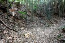 御成街道おあし坂 油井 東金市 千葉県
